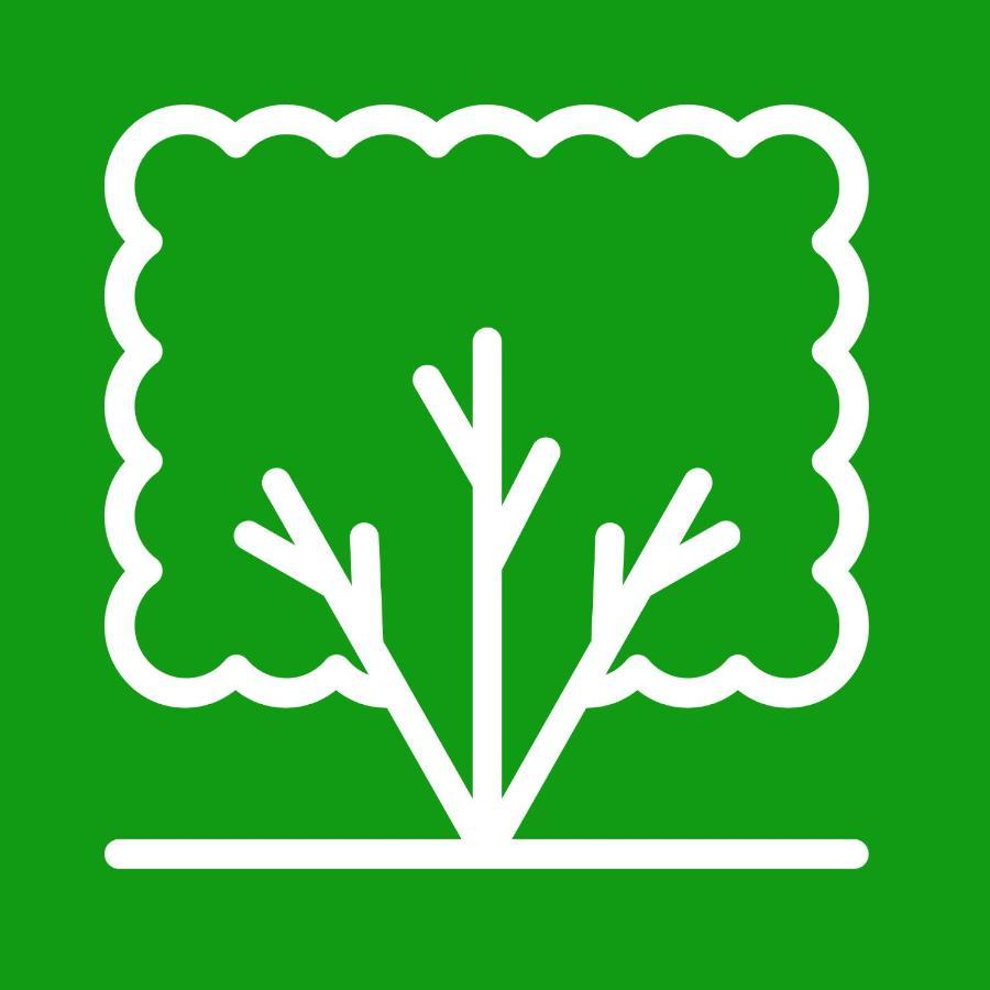 Dalat Eco Home מראה חיצוני תמונה